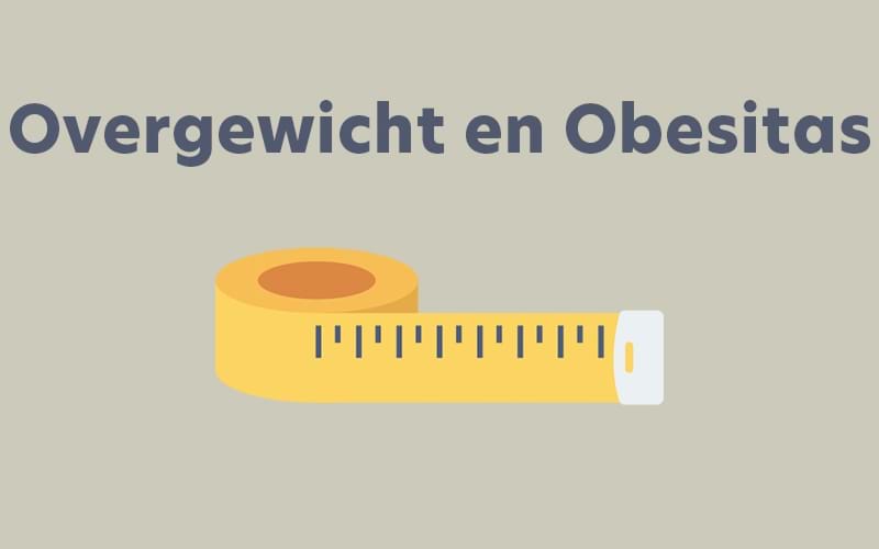 Overgewicht en Obesitas